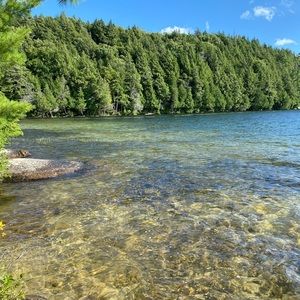 Meet your Posher, Estelle